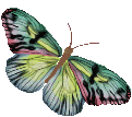 sticker_18370967_25470882