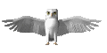 sticker_17642517_32417142