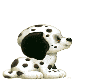 sticker_18259121_23929507