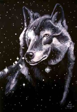 sticker_14017001_37729093