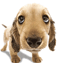 sticker_2238609_4486627