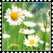 sticker_20819331_38146034