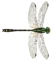 sticker_6135606_12827708