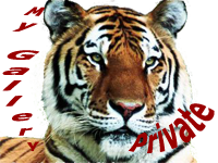 sticker_14158913_18742563