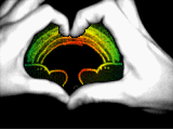 sticker_21382913_31716953