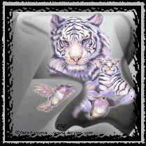 sticker_2219497_7511199