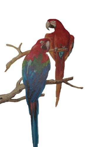sticker_12610675_40021069