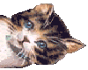 sticker_752172_705859