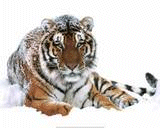 sticker_3682101_12067061
