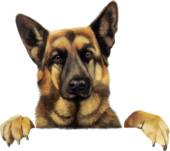 sticker_26789969_37638874