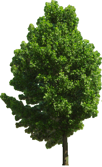 sticker_23663428_40613058