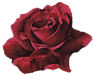 sticker_9368858_12434859