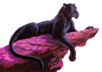sticker_10039909_24472230