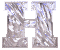 sticker_19610870_29562520