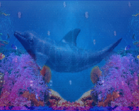 sticker_24247846_40358736