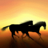 sticker_26441600_37236455