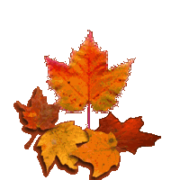 sticker_15713746_41033795