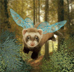 sticker_12610675_32704776