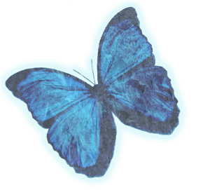 sticker_15531745_24548821