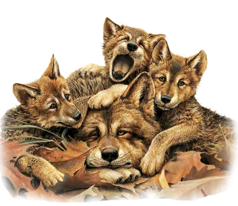 sticker_18078123_28128407