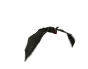 sticker_18193927_38727913