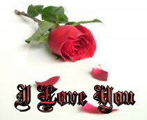 sticker_3806813_29377694