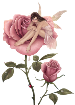 sticker_15927491_23281061