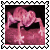 sticker_15619627_24421155