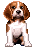 sticker_25875685_35406205