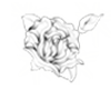 sticker_12321683_34161230