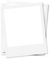 sticker_21126197_38014669