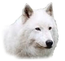 sticker_1528331_1727811