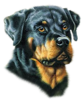 sticker_4734827_44219655