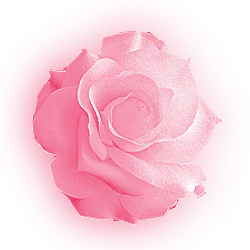 sticker_5374590_24836536