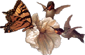 sticker_22587919_31440501
