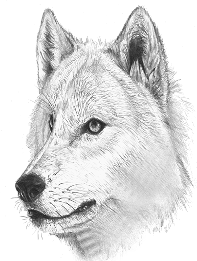 sticker_20004153_30131104