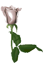 sticker_9320827_24386462