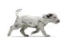 sticker_13128024_40416404