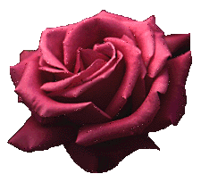 sticker_17796168_38118257