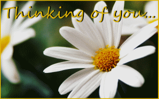 sticker_28815877_44086619
