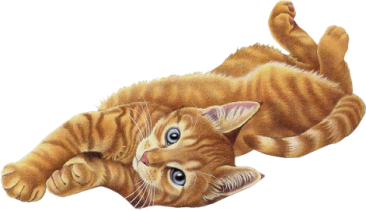 sticker_16735243_27435108