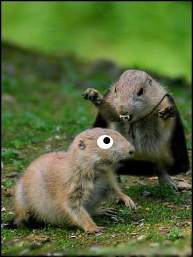sticker_28471060_43971611