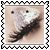 sticker_13133210_23771236