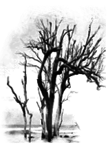 sticker_20819844_38952087