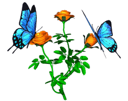 sticker_20657373_28844248