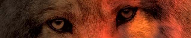 sticker_20004153_27615414