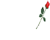 sticker_15095456_37124390