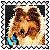 sticker_2749087_32655702