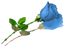 sticker_45989_2295754