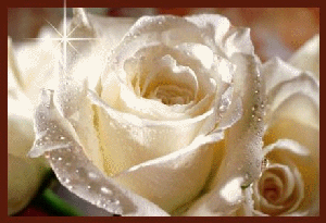 sticker_28602829_40319172